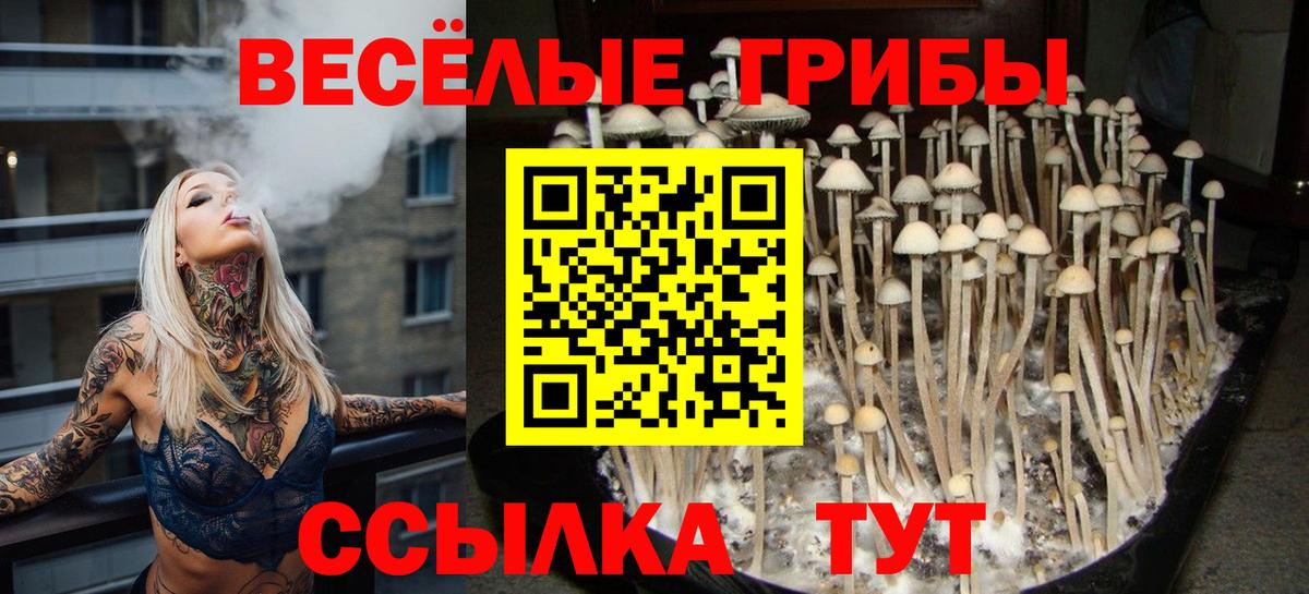 Псилоцибиновые грибы Psilocybe  Вход с VPN  Белебей 